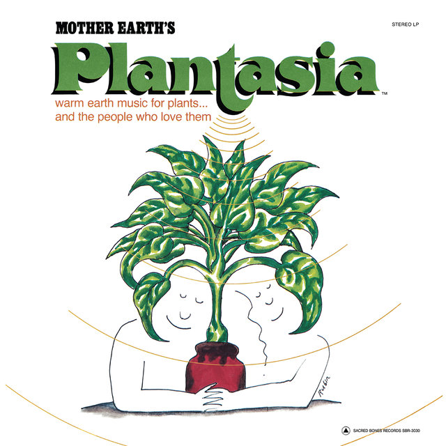 music album cover art