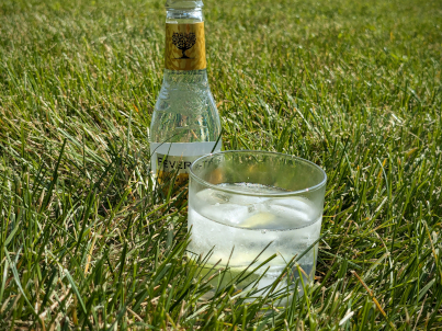 a gin & tonic and a bottle of tonic water in the grass