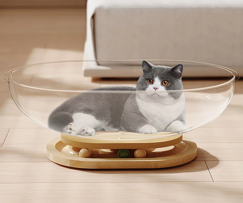 a cat laying in the center of a “bed” that looks exactly like a large glass mixing bowl