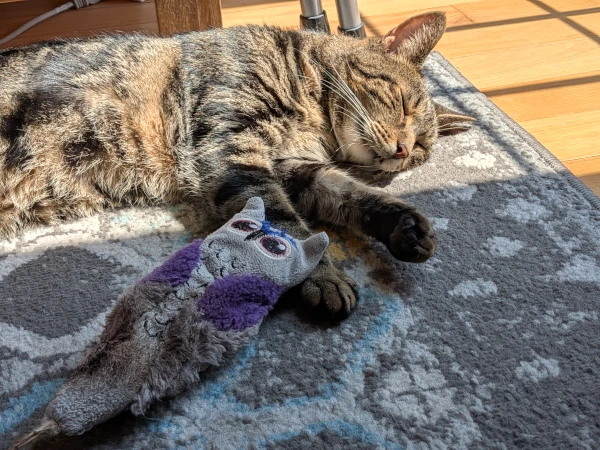 A brown-and-black striped cat snoozing in a sunbeam, an owl-shaped toy resting lightly on one arm.