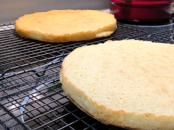 Two thin cake sponges on a cooling rack