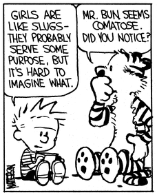 Calvin makes another comment about girls and their uselessness. As he does, Hobbes scratches his chin and says, 'Mr. Bun seems comatose. Did you notice?'