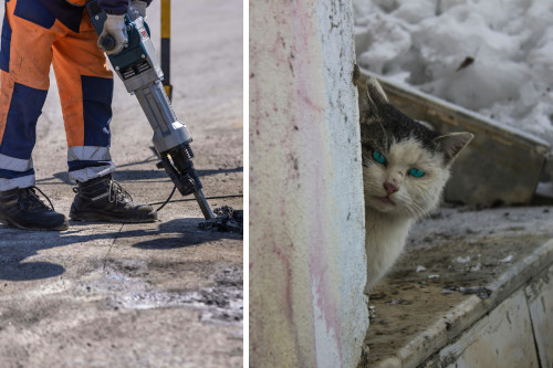 side-by-side images of the bottom half of a person wearing orange and blue coveralls using a jackhammer on the asphalt and a dirty white-and-black cat in winter, peering around a concrete wall with murder in its eyes