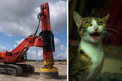 side-by-side images of an orange pile driver vehicle in an empty brown lot and a skinny brown-and-white cat that appears to be meowing, giving it an unhinged expression
