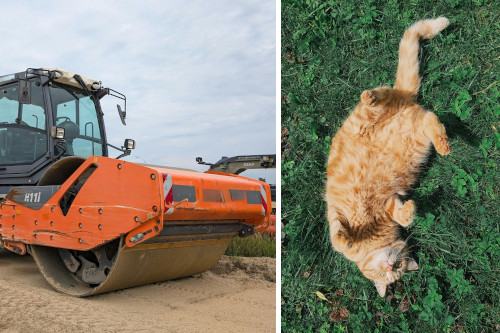 side-by-side images of an orange steamroller on a dirt road and an orange tabby cat from above as it rolls in the grass