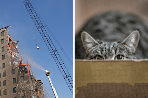 side-by-side images of a crane swinging a wrecking ball into a partially-demolished building and a dark gray tabby cat hiding in a cardboard box, eyes peeking over the top and ready to pounce
