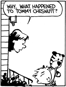 Calvin is holding Hobbes and walking away from the house. Mom, sticking her head out the front door, asks 'Why, what happened to Tommy Chesnutt?'