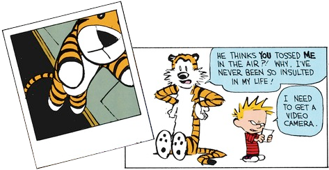 A Polaroid photo shows a stuffed tiger, slightly off-frame, airborne in front of an open door. In the next panel, Hobbes defiantly says 'He thinks YOU tossed ME in the iar? Why, I've never been so insulted in my life!' Calvin, grumpily looking at the photo, remarks 'I need to get a video camera.'